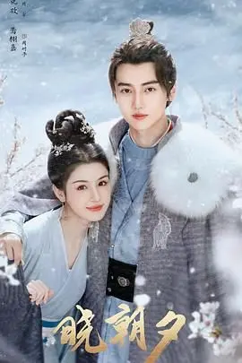 《晓朝夕》：悬疑反转！层层迷雾下的真相，挑战你的推理神经！