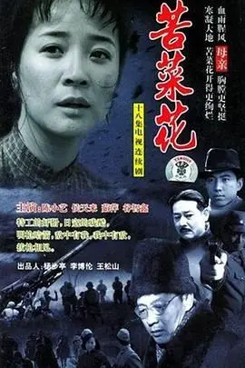《苦菜花2004》：一部触动灵魂的时代史诗，看农村女性的坚韧与成长